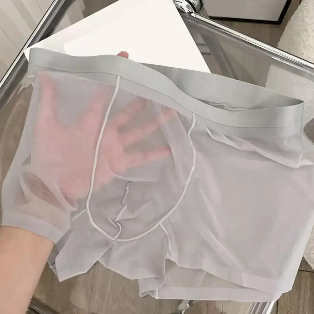 Mannen Boxer Transparant Lichtgewicht Mannen Ondergoed Elastische Mid-Taille U-Convexe Dunne Perspectief Shorts Slips Naadloze Slipje