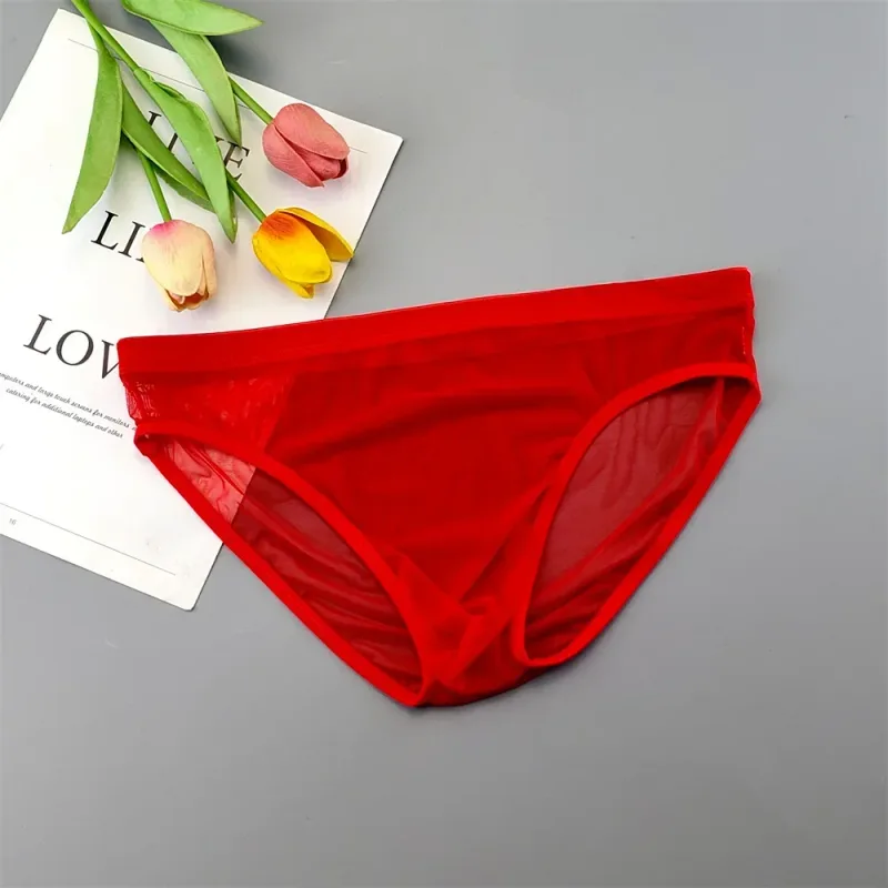 Plus Size Transparant Ondergoed Zien Door Sexy Slips voor Mannen met Zakje Nylon Hombre Slips Ademend Heren Slipje XL-4XL