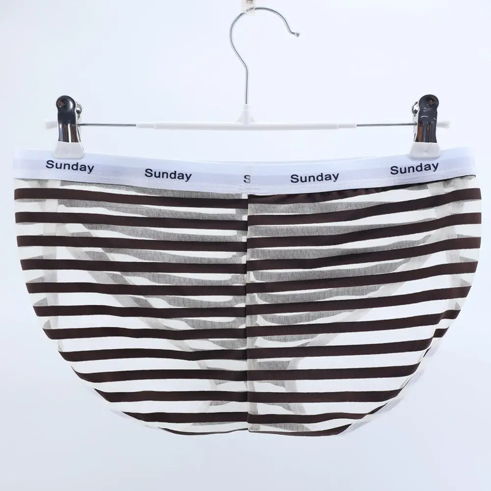 Men Casual Transparent Striped Mesh Briefs Side Fork Panties Shorts Breathable Pouch Man Comfortable Home Underwear