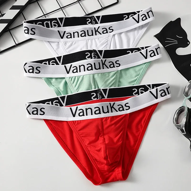 Men's High Cut Panties Soft Modal Fabric Low Rise Briefs Sexy Comfortable Underwear