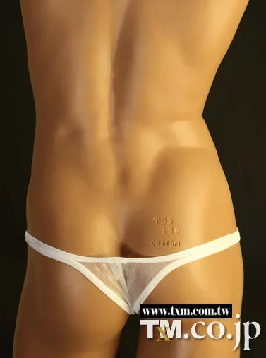 High Elastic Men Shiny Sheer Mesh Briefs U Pouch Low Waist Large Capacity Pouch Triangle Underwear