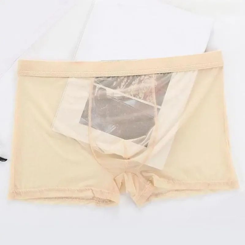 Transparante Boxers voor Mannen Doorzien Mannelijke Onderbroeken Sexy Mesh Lage Taille Ijs Zijde Dunne Koeling Heren Slipje Heren Ondergoed