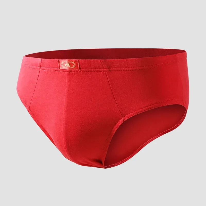 Men's Trendy Red Briefs for Their Zodiac Year, Wedding Gift, Good Luck and Celebration Briefs