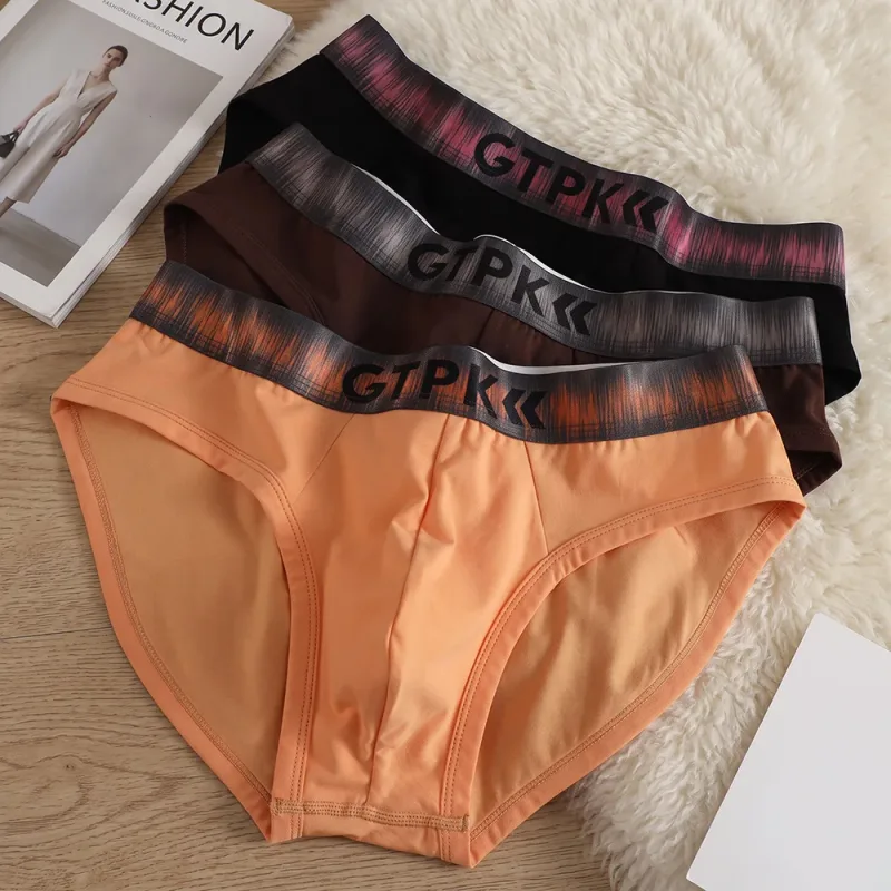 1/3PCS 95% Cotton Soft Comfortable Lingeries for Man High Stretch Men's Underwear Breathable Antibacterial 3D Mesh Pouch Briefs