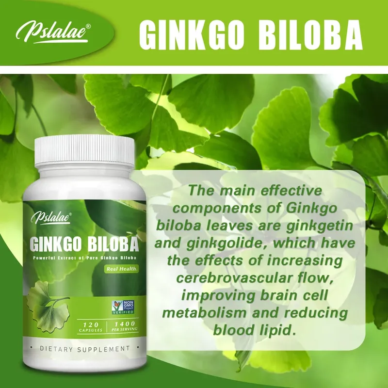 Ginkgo Biloba kapszula – javítja az agyat, javítja a koncentrációt és a memóriát, elősegíti a vérkeringést, javítja a kognitív funkciókat