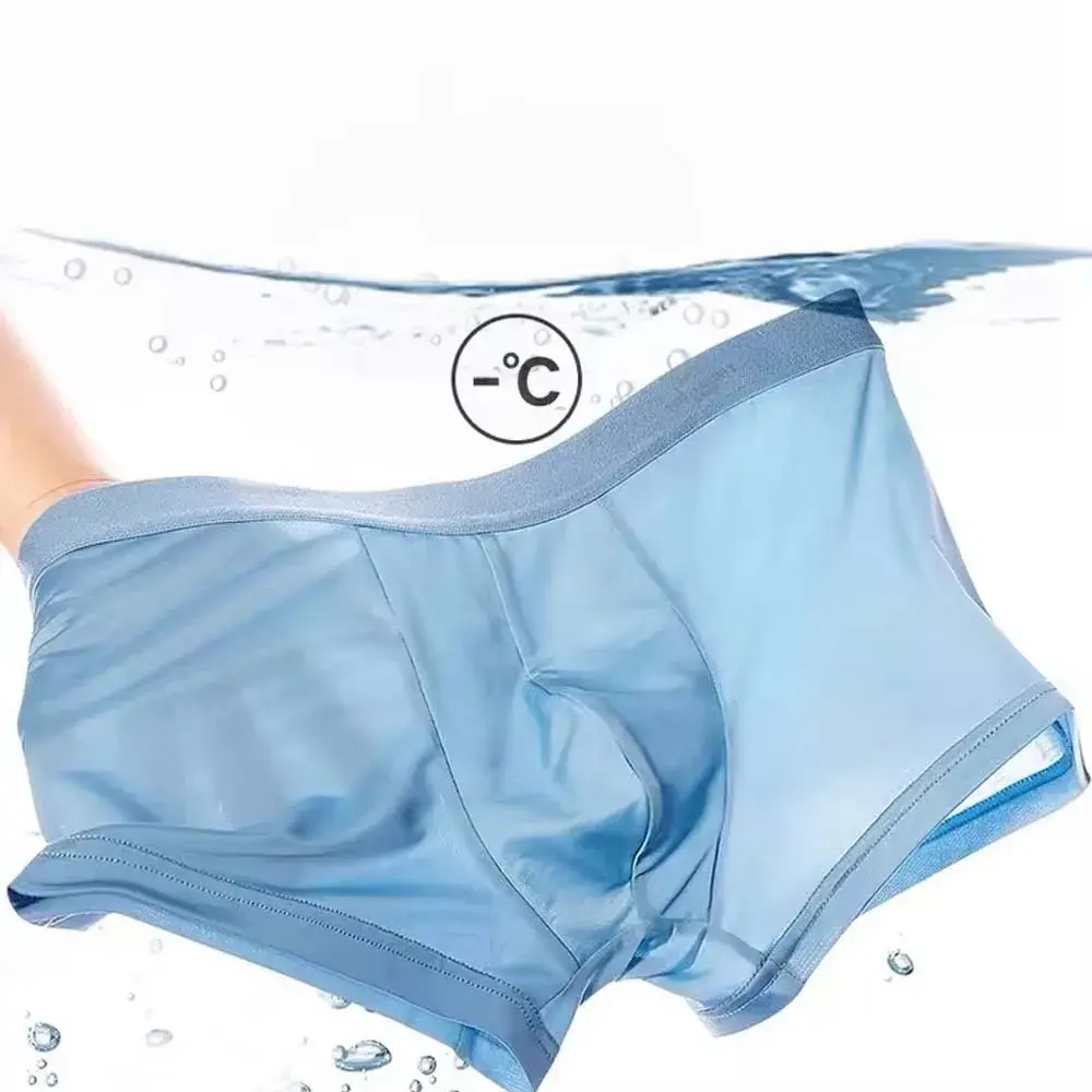 5Pcs Man Underwear Summer Quick-Dry Cooliing Men Briefs Breathable Soft Touch Men's Clothes 3D U Pouch Men Boxer Briefs Panties