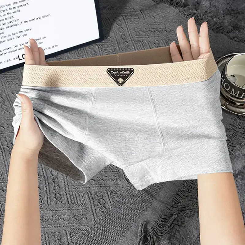 5pcs Pack Men Panties Cotton Underwear High Stretch Boxer Shorts Fashionable Sexy Men Underpant Plus Size L-4XL Breathable Men