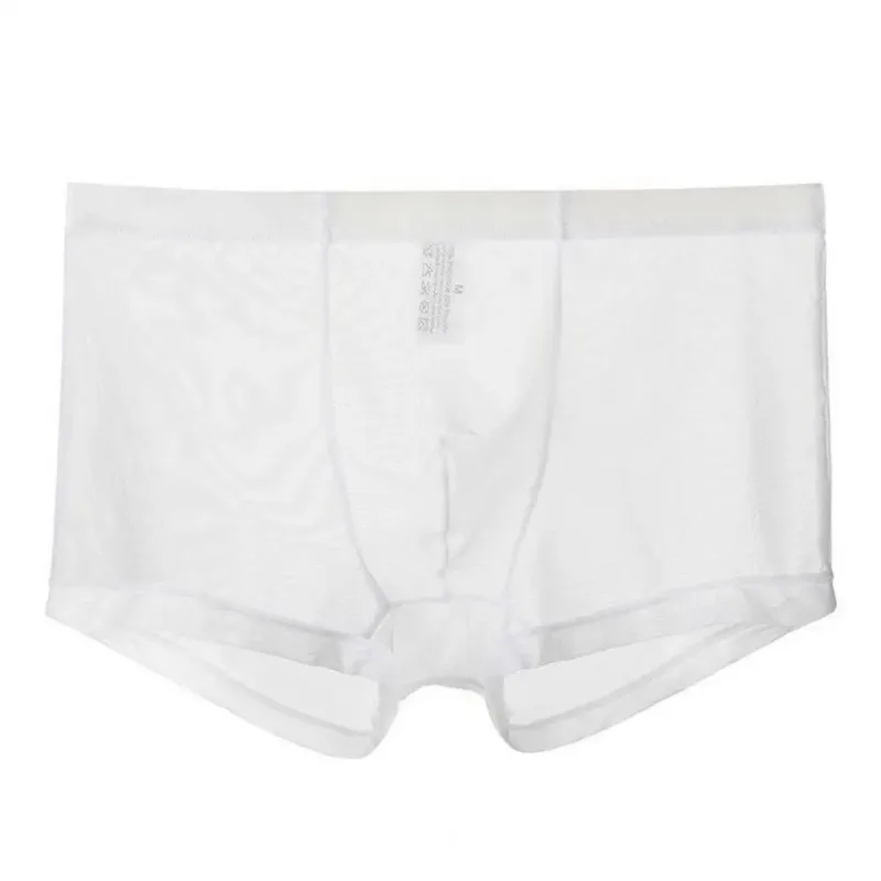 Transparante Boxers voor Mannen Doorzien Mannelijke Onderbroeken Sexy Mesh Lage Taille Ijs Zijde Dunne Koeling Heren Slipje Heren Ondergoed