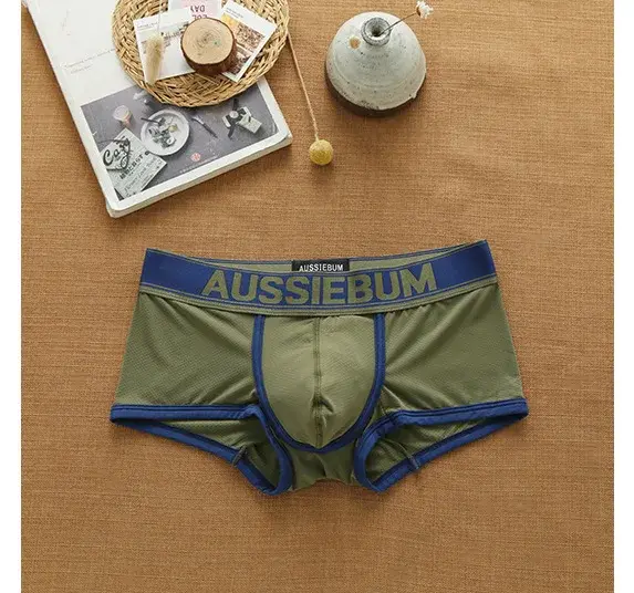 Men's mesh panties low waist fashion breathable mesh nest letter youth boxers