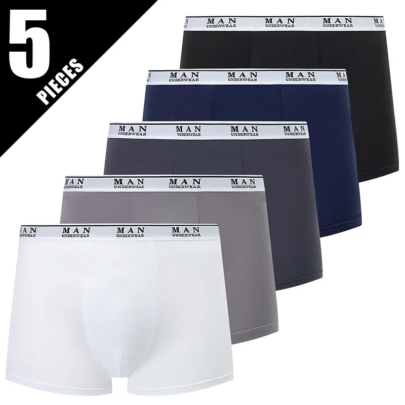 5pcs-yzt-xh