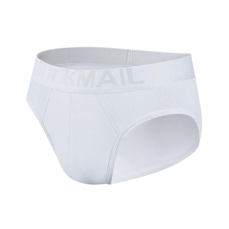 Men Underwear Brief Sexy Low-rise Striped Bikini Athletic Supporters Underpants Sleepwear Nylon Quick Dry Breathable