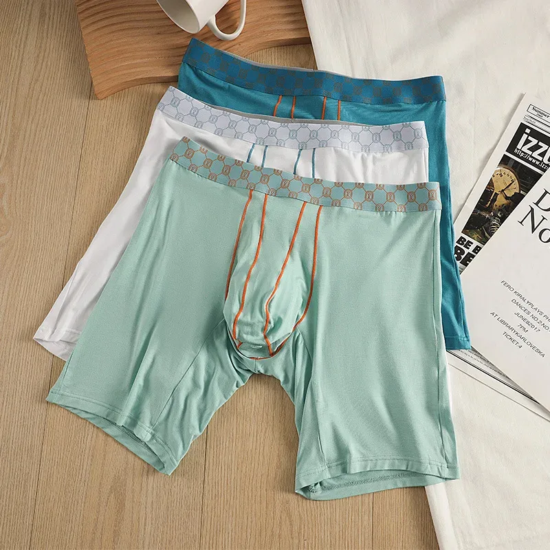 Bamboo Fiber Boxer Shorts Mens Underwear Cueca U Convex Pouch Panites Man Extended Long Underpant Male Plus Size Boxers M-XXL