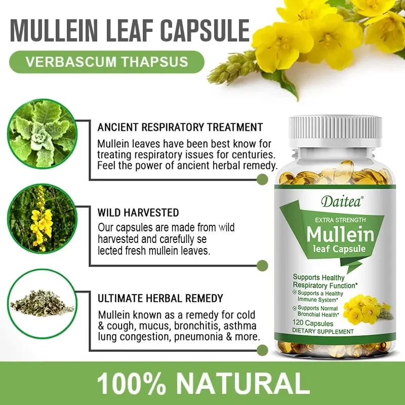 Mullein Extract Capsules Suitable For Lung & Bronchial Cleanse for Smokers - Respiratory Health Support Gut Health