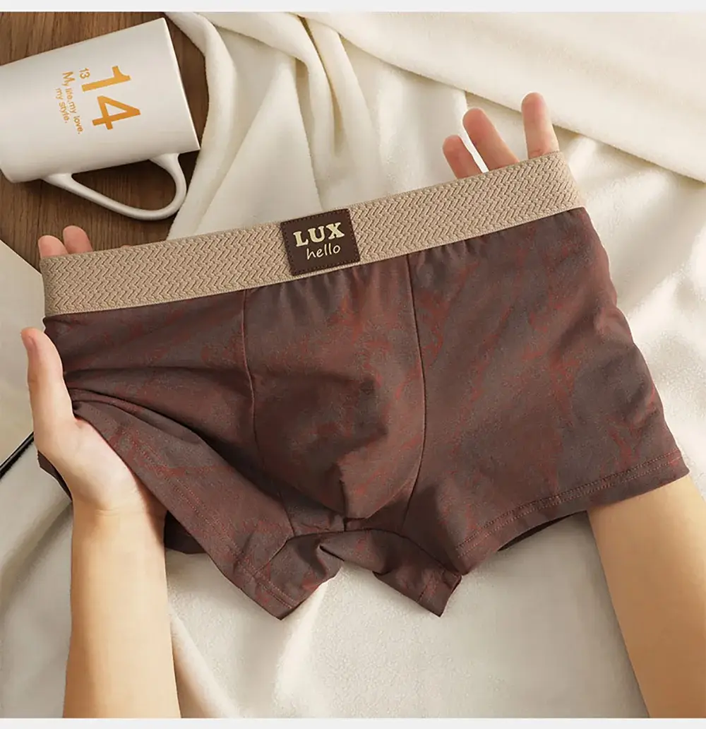 3PCS/Pack 100% Cotton Luxury Print Boxers Hombre 3D Mesh Breathable Antibacterial Pouch Underwear Comfortable Soft Men's Panties