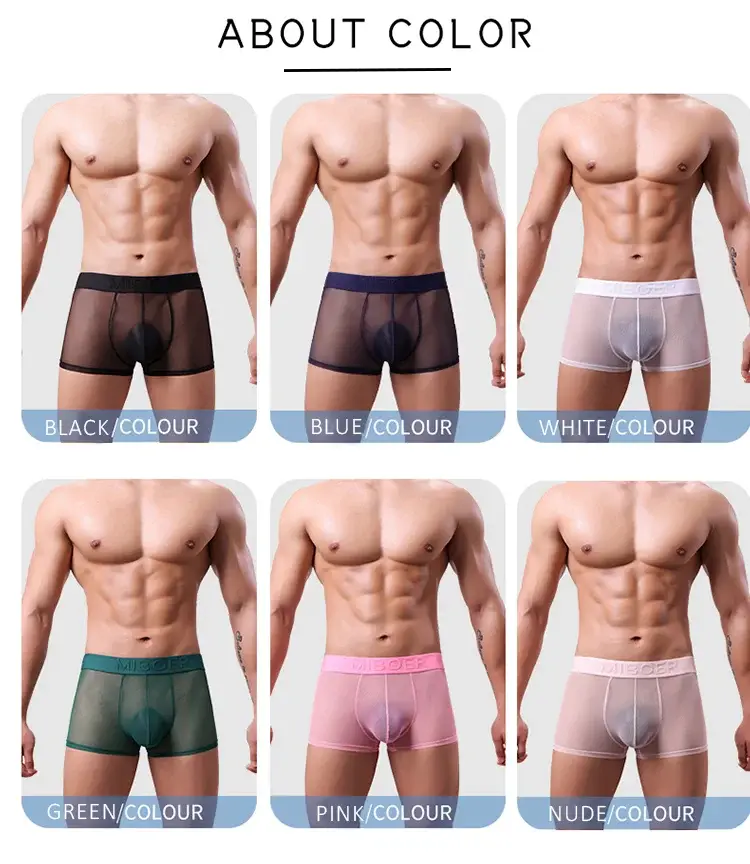 Men's Transparent Full Mesh Boxer Briefs See-Through Underwear Low Rise U-Pouch Breathable Sexy Low-Rise Elastic Waistband