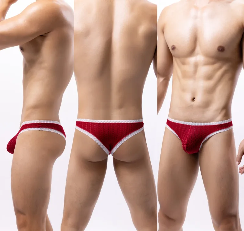 Men's Lace Briefs Wheat Ear Trim Sexy High Elastic Soft Breathable Quick Dry Comfort Stylish Underwear Daily Nightclub Wear