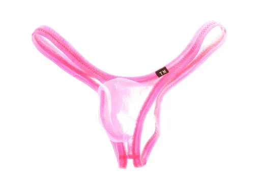 High Elastic Men Shiny Sheer Mesh Briefs U Pouch Low Waist Large Capacity Pouch Triangle Underwear