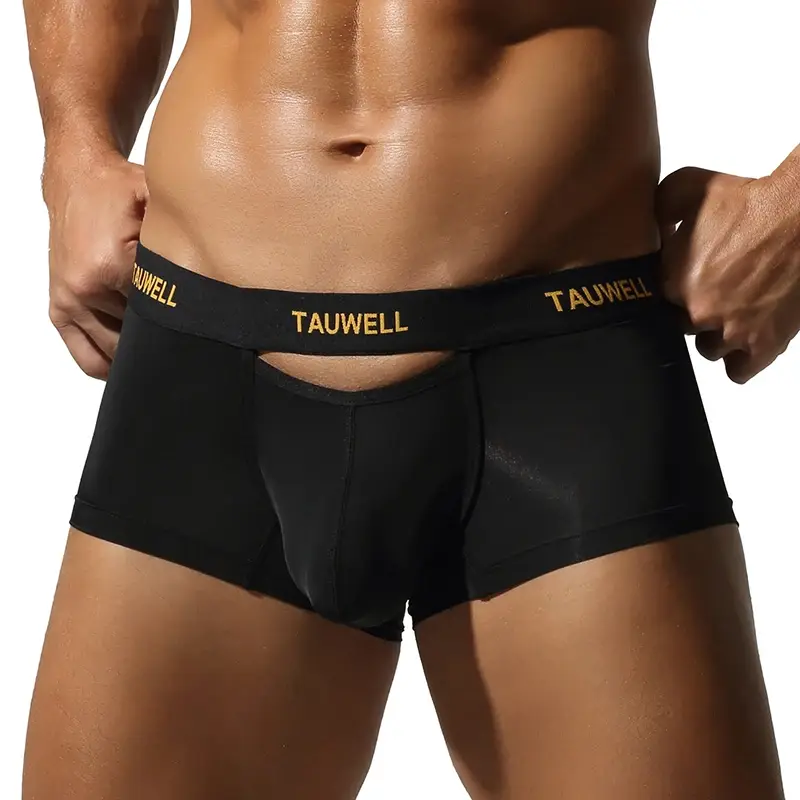 Men's Underwear Comfortable Cool Thin Sexy Semi-Transparent Flat Angle Pants with U-Shaped Pouch Briefs