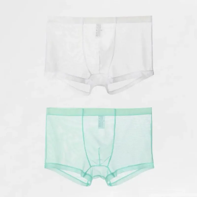Transparante Boxers voor Mannen Doorzien Mannelijke Onderbroeken Sexy Mesh Lage Taille Ijs Zijde Dunne Koeling Heren Slipje Heren Ondergoed