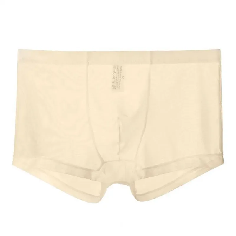 Transparante Boxers voor Mannen Doorzien Mannelijke Onderbroeken Sexy Mesh Lage Taille Ijs Zijde Dunne Koeling Heren Slipje Heren Ondergoed
