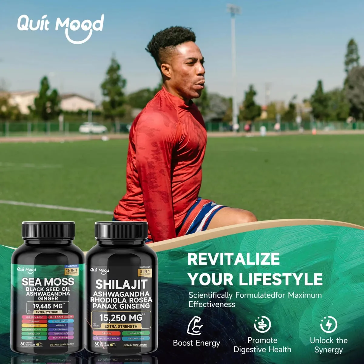 Bundle Sea Moss and Shilajit |High Potency Vitality Combo - Ashwagandha Turmeric Bladder Burdock 2000 Mg & Ginger Vitamin C