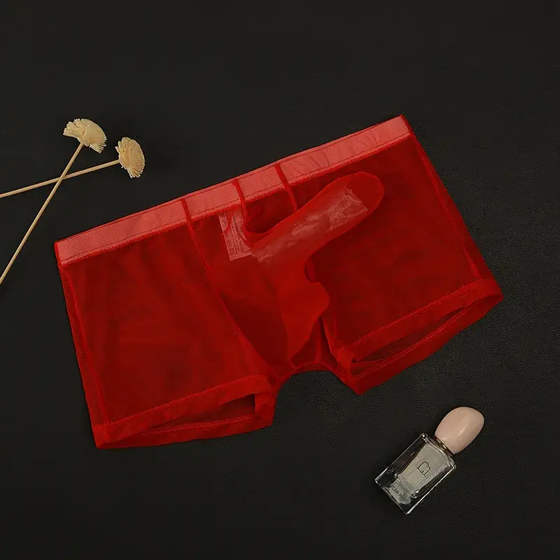 Erotic Men's Boxy Underwear Gays Sexy Low Waist Elephant Nose Boxer Shorts Thin Mesh Transparent Breathable Lightweight Panties