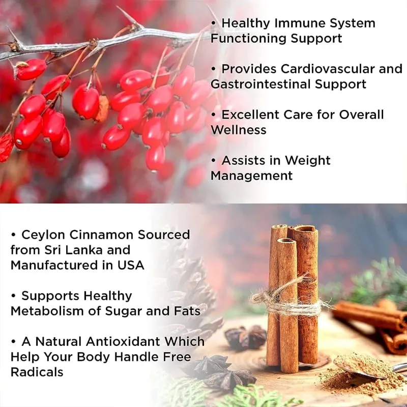 Berberine Capsules Contain Ceylon Cinnamon and Milk Thistle To Support Glucose Balance Liver Health Digestion and Weight Loss — image 3