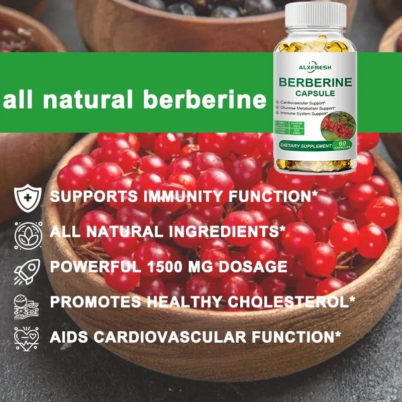 Berberine Capsules Support Oral Inflammation Intestinal Infection Blood Sugar Lipid Regulation Cardiovascular and Antioxidant