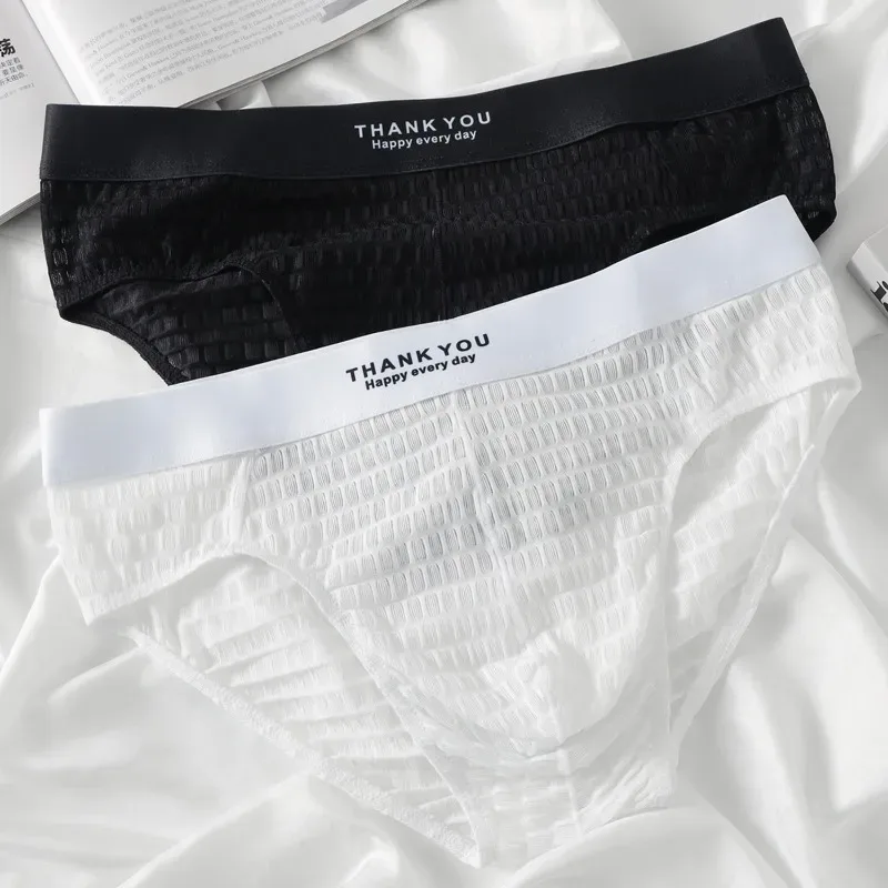 Transparent Mesh Underwear Male Ultra Thin Sheer Briefs Breathable Underpants Bulge Pouch Panties Soft Lingerie Low Rise Knicker