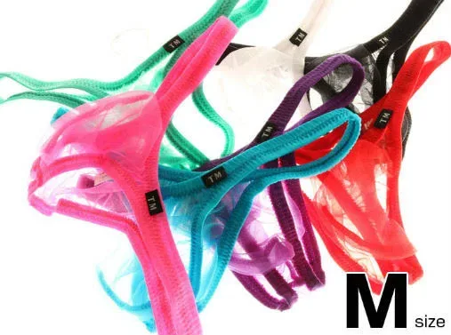 High Elastic Men Shiny Sheer Mesh Briefs U Pouch Low Waist Large Capacity Pouch Triangle Underwear