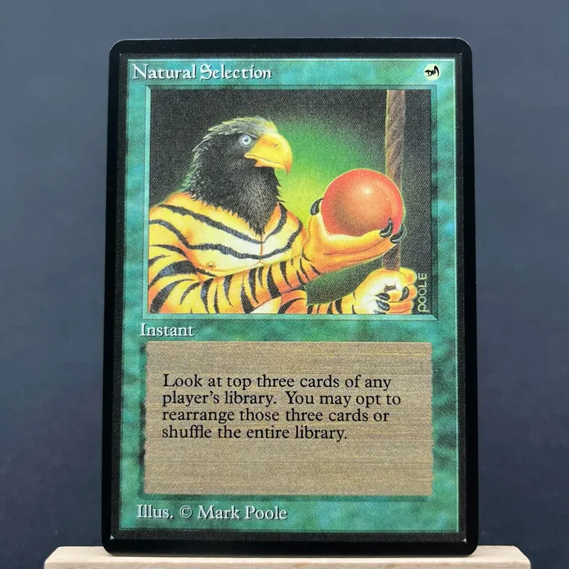 Κάρτες TCG για το σπίτι Παίξτε Proxy Natural Selection Timber Wolves the Mana Vault Mox Pearl