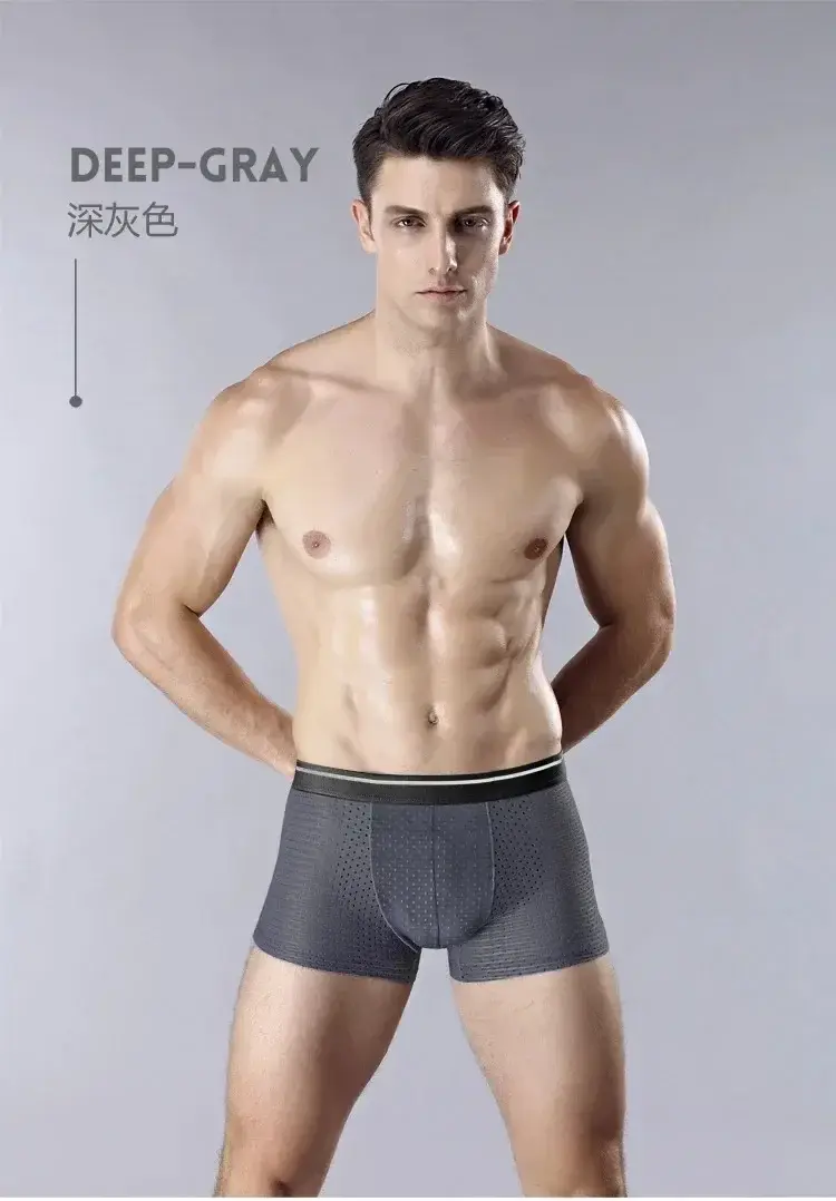 4PcsMen's Underwear Men Boxer Shorts Ice Silk Mesh Boxer Shorts Summer Sexy Breathable Antibacterial Underpants Plus Size XL-6XL