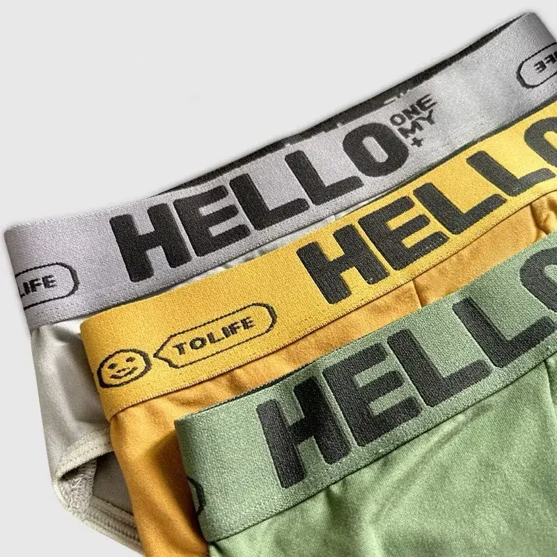 5Pcs/Men's Underwear High-quality Pure Cotton Sexy Triangular Shorts Men's Briefs Breathable Elastic Underpants Large Size L-5XL
