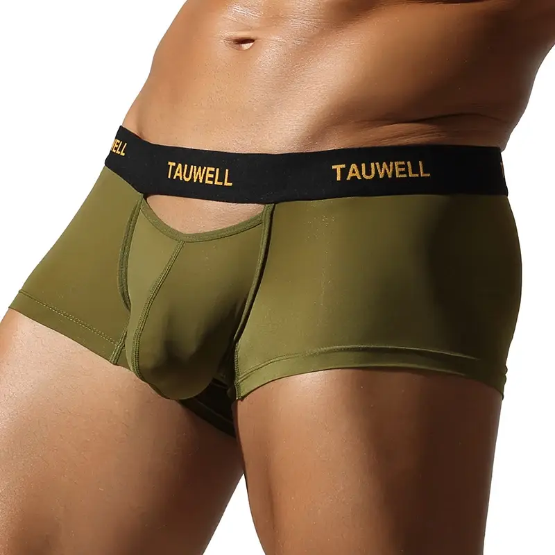 Men's Underwear Comfortable Cool Thin Sexy Semi-Transparent Flat Angle Pants with U-Shaped Pouch Briefs
