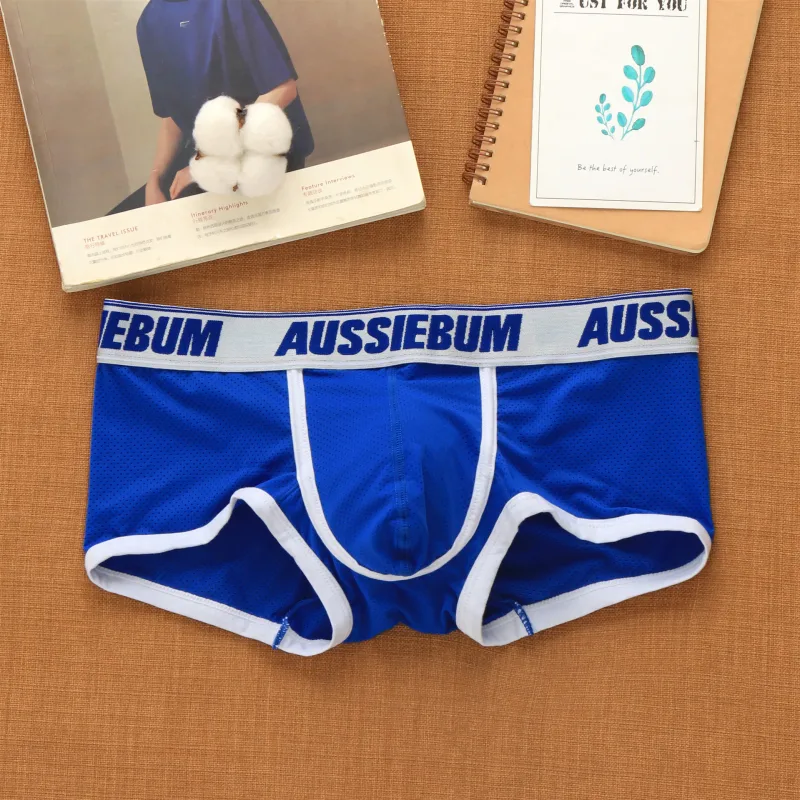 Men's mesh panties low waist fashion breathable mesh nest letter youth boxers