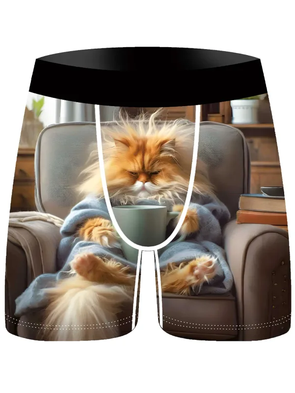 3Pcs Men Boxer Briefs Cute Lazy Cat 3D Print Underwear Soft Stretch Male Underpants Funny Novelty Gift Boxer Shorts