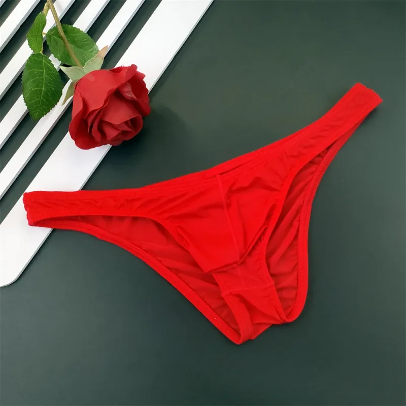 5Pcs New Youth Men's Ice Silk Brief U Pouch Underwear Low Waist Ultra Thin Transparent Underpants Sexy Plus Size Male Panties