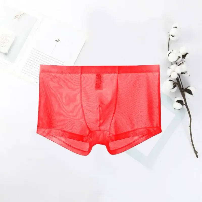 Transparante Boxers voor Mannen Doorzien Mannelijke Onderbroeken Sexy Mesh Lage Taille Ijs Zijde Dunne Koeling Heren Slipje Heren Ondergoed