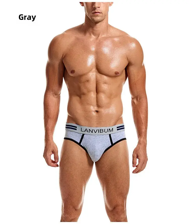 2-Piece Set - Cotton Men's Underwear Briefs Breathable Youth Mid-Waist Large-Size Men's Underwear Summer Briefs