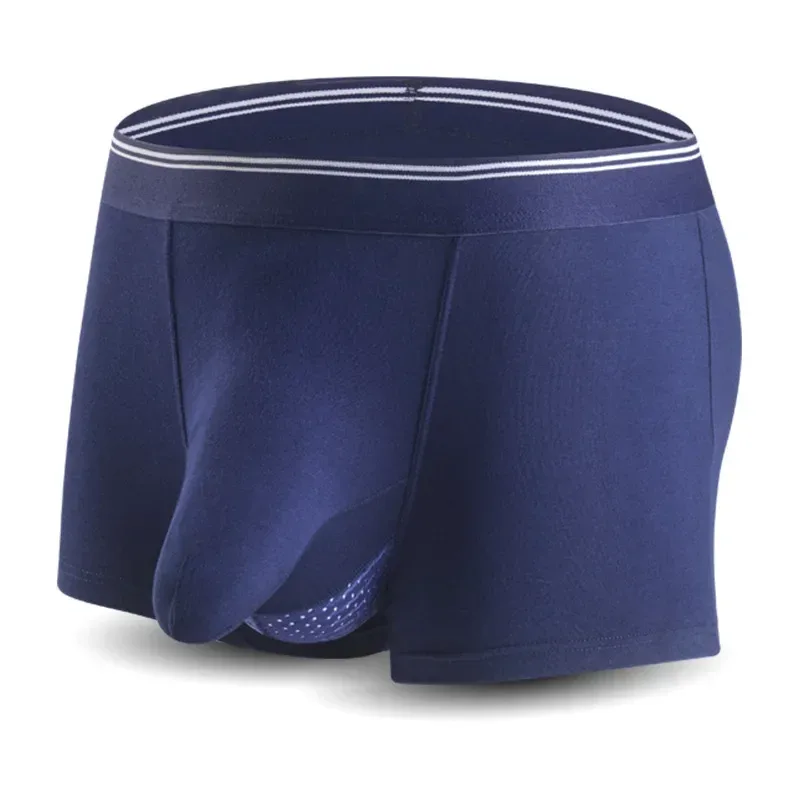 C Royal Blue