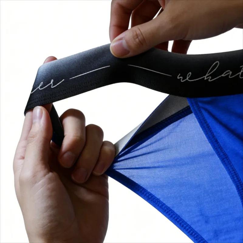 Men's Ice Silk Polyester Cheeky Briefs Ombre "Whatever" Slogan Waist Sporty Contour Fit Low-Rise Underpants Men Underwear Sexy