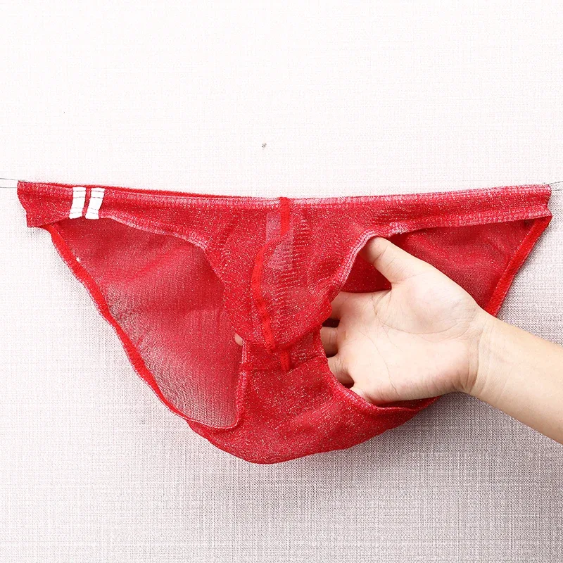 Men's Underwear Briefs Ultra Thin Low Rise Mesh Breathable Panties