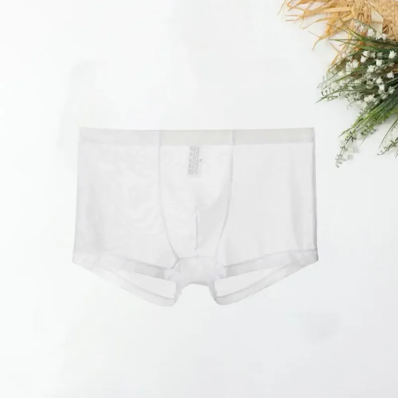 Transparante Boxers voor Mannen Doorzien Mannelijke Onderbroeken Sexy Mesh Lage Taille Ijs Zijde Dunne Koeling Heren Slipje Heren Ondergoed