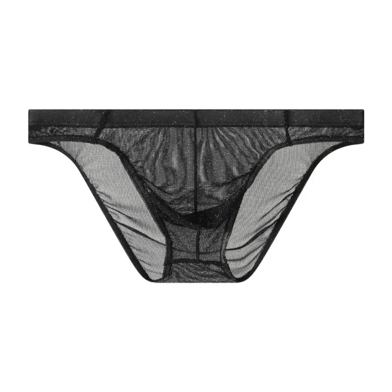 Lingerie Men Mesh Triangle Panties Low Waist Breathable Men Thin Briefs Transparent Thin Soft Underwear for Men Daily Wear