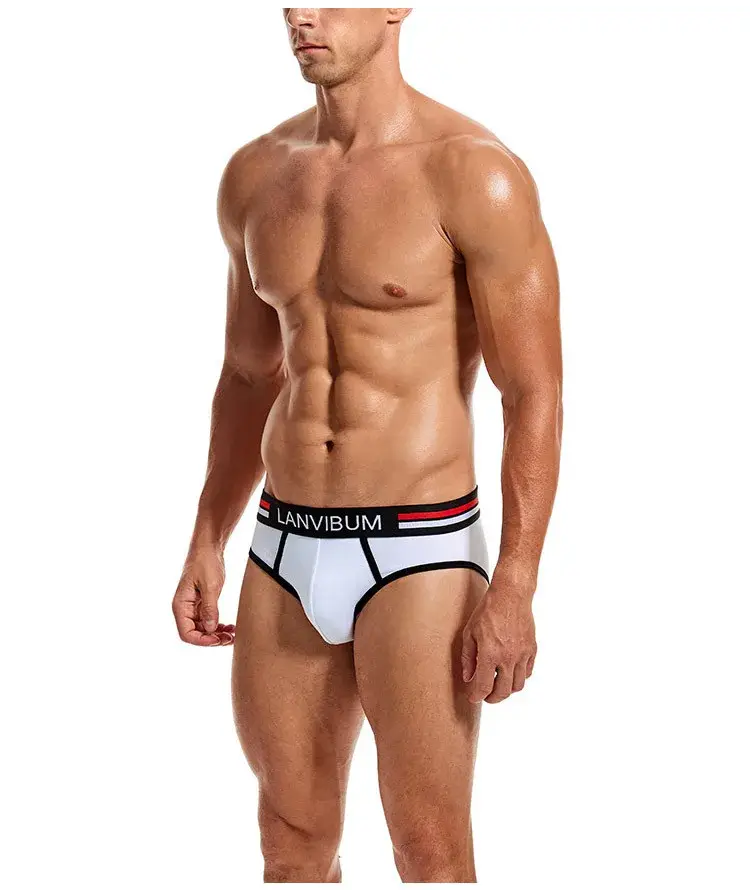 2-Piece Set - Cotton Men's Underwear Briefs Breathable Youth Mid-Waist Large-Size Men's Underwear Summer Briefs