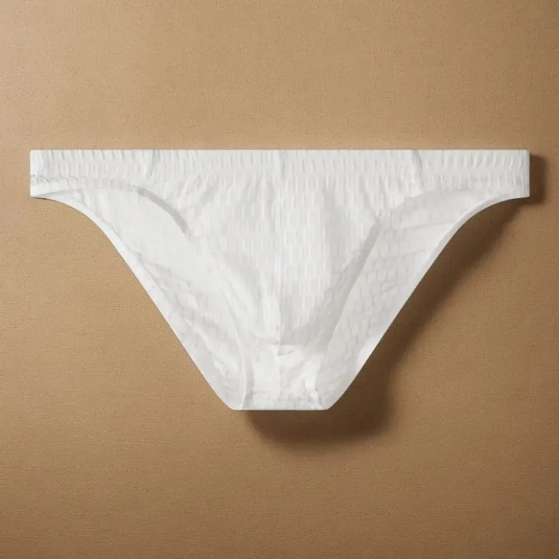 Breathable Low Waist Men's Briefs Transparent Ultra-thin Ice Silk Underwear Lingerie Mesh Panties Male Comfort Fit