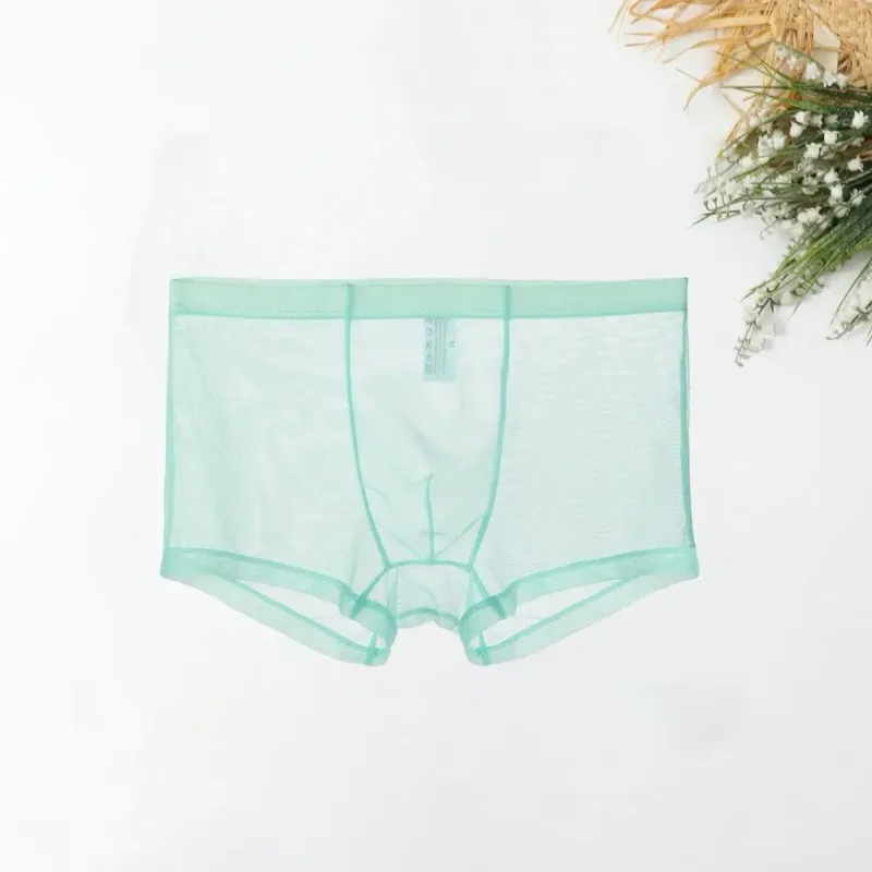 Transparante Boxers voor Mannen Doorzien Mannelijke Onderbroeken Sexy Mesh Lage Taille Ijs Zijde Dunne Koeling Heren Slipje Heren Ondergoed