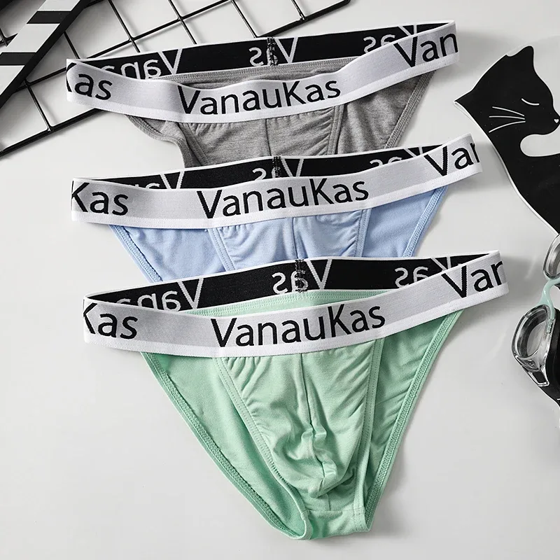 Men's High Cut Panties Soft Modal Fabric Low Rise Briefs Sexy Comfortable Underwear