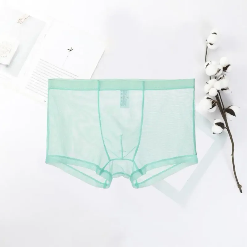 Transparante Boxers voor Mannen Doorzien Mannelijke Onderbroeken Sexy Mesh Lage Taille Ijs Zijde Dunne Koeling Heren Slipje Heren Ondergoed
