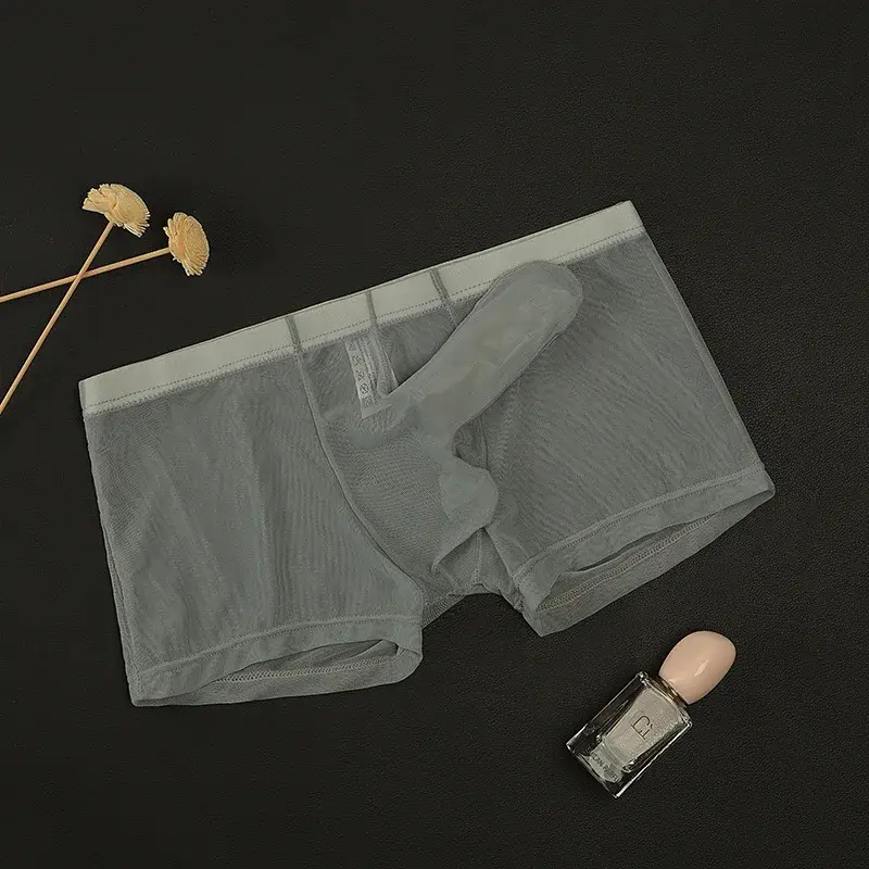 Erotic Men's Boxy Underwear Gays Sexy Low Waist Elephant Nose Boxer Shorts Thin Mesh Transparent Breathable Lightweight Panties